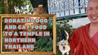 Taking Cat & Dog Food to a Thai Temple in Northern Thailand