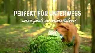 Bozita&acute;s Nassfutter f&uuml;r Hunde - Leicht zu &ouml;ffnen, leicht zu verschlie&szlig;en