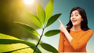 Unlocking the Secrets of Photosynthesis in 5 Minutes