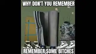 Do you remember some bitches?