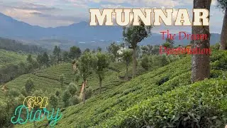 The Most Beautiful Places in Munnar | Hidden Gems of Munnar #Kerala #Munnar #TravelKerala