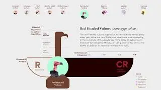 Interactive information visualization : Declining vulture population in India