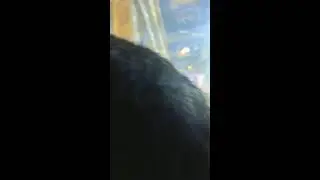 Shekhar Roy Amit is live!