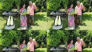 ఈ రోజు హార్వెస్ట్ #organic #organicgardening #garden #bottlegourd #bittergourd #farming #subscribe 