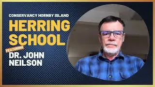 CHI Herring School: Dr. John Neilson