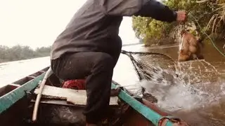 Wow dapat sidat penghuni sungai lae cenendang 