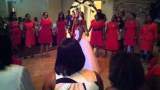 The Delta Sweetheart Song sung at my sisters wedding reception