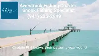 The Ultimate Snook Fishing Guide