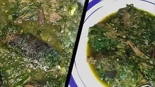 SOUPE VERTE DE VIANDE DE BROUSSE