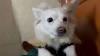 Tuffan🤪🤪🤪🤣