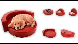 Dog sofa bed: 7 simple tips to chose the best dog couch
