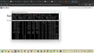 Linux server: Higher CPU usage, Killing sessions and Checking Space