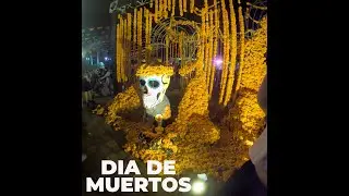DIA DE MUERTOS PLAYA DEL CARMEN Y 5A AVENIDA.