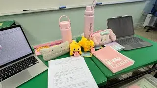 sn&rsquo;s school diary: episode 1