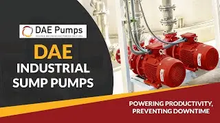 Industrial Sump Pump Systems | DAE Pumps
