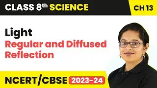 Regular and Diffused Reflection - Light | Class 8 - Science - Chapter 13