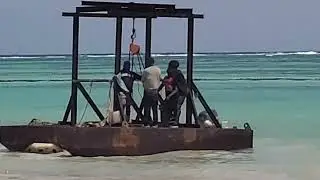 #dominicanrepublic '24 My  reef ball burial systems