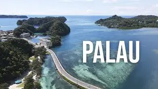 PALAU, un tresor a Micron&egrave;sia | VOLA I VIU