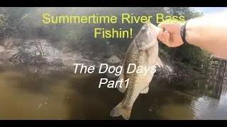 Summer Time River Bass Fishing(PEARL RIVER)