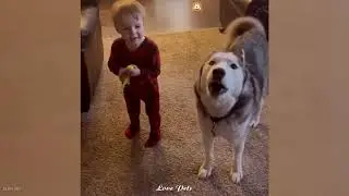 Super Guardian: Dog Stands Vigil Close By Its Little Human 24/7. 🥺