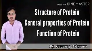 Structure of Protein ,General properties of Protein & Function of Protein