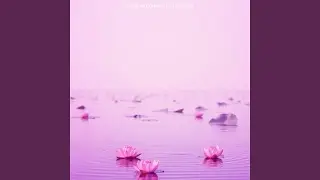 Gentle Reflection