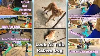 Davangere City Dog Catch Vlogs । Dog Catcher in india । Super Dog Catch #pets #vlog #catching #viral