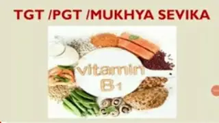 Home science | Vitamin B1 | Tgt |Pgt | Mukhya Sevika @homescienceworld5625