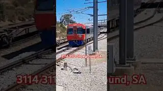 Adelaide Metro #3114 + #3113 at Showground #shorts #seb #adelaidemetro #train #trains #adelaide #4u
