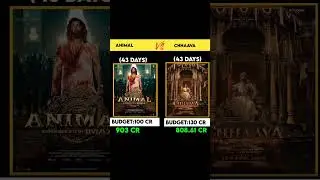chhaava 43 days worldwide box office collection|animal 43 days box office collection#shorts#chhaava