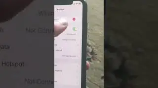 Cellular Data Not Working On iPhone #iphone #internetconnection #ios #apple #cellulardata#mobiledata
