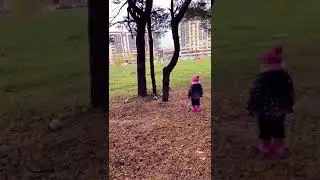 Просто белки играются #белка #chill #squirrel #осень #cute