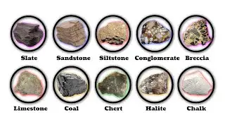 Every common sedimentary rock EXPLAINED in 5 Minutes.