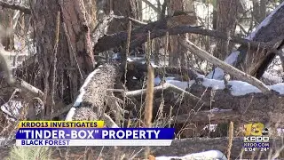 Black Forest homeowners worry of fire risk from 40-acre vacant property filled with dead ...