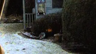 Fire not consuming the burning bush