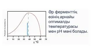 Ферменттердің әсер ету механизмі  Ферменттердің белсенді орталықтары  9 СЫНЫП