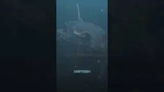 Шoк находка на дне бездны #амитеш #юмор #технологии