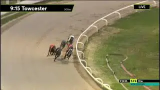 GREYHOUND DERBY  2025