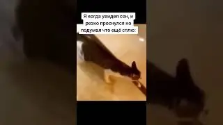 #letsplay #love #top #like #subscribe #mods #random #китя #котя #кот #мем #прыжок #жесткий # #ахаха