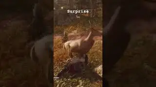 AC Valhalla #deer #assassinscreedvalhalla