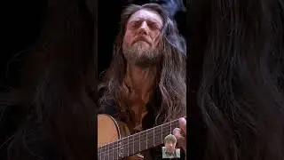 Spirit Time // Estas Tonne // Kyiv Ukrainian || integration Tour 2019#shorts #guitar