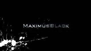 I Did (The Song) -- MaximusBlack