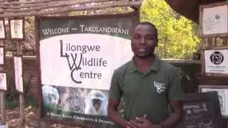 Lilongwe Wildlife Centre