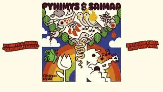 Pyhimys & Saimaa - Mustarastaan laulu viemärissä