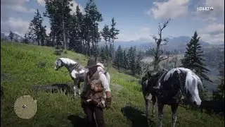 Red Dead Redemption 2 Red Dead Redemption 2 Deer Cavalry Hat
