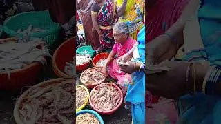 💁🐬 kasimedu fish market 💥#kasimedu #chennaiyinmeenvlog#film #short #viral #kasimedufishmarket #food 