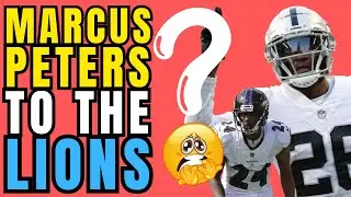 IS MARCUS PETERS TO THE DETROIT LIONS THE ANSWER?