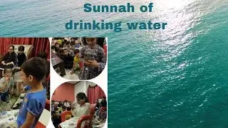 practical sunnah of drinking water
