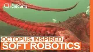 Squishy Aquatic Robots Inspired from the Octopus