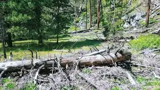 I wish I had the why...Shelly Fraley. Drone montage.